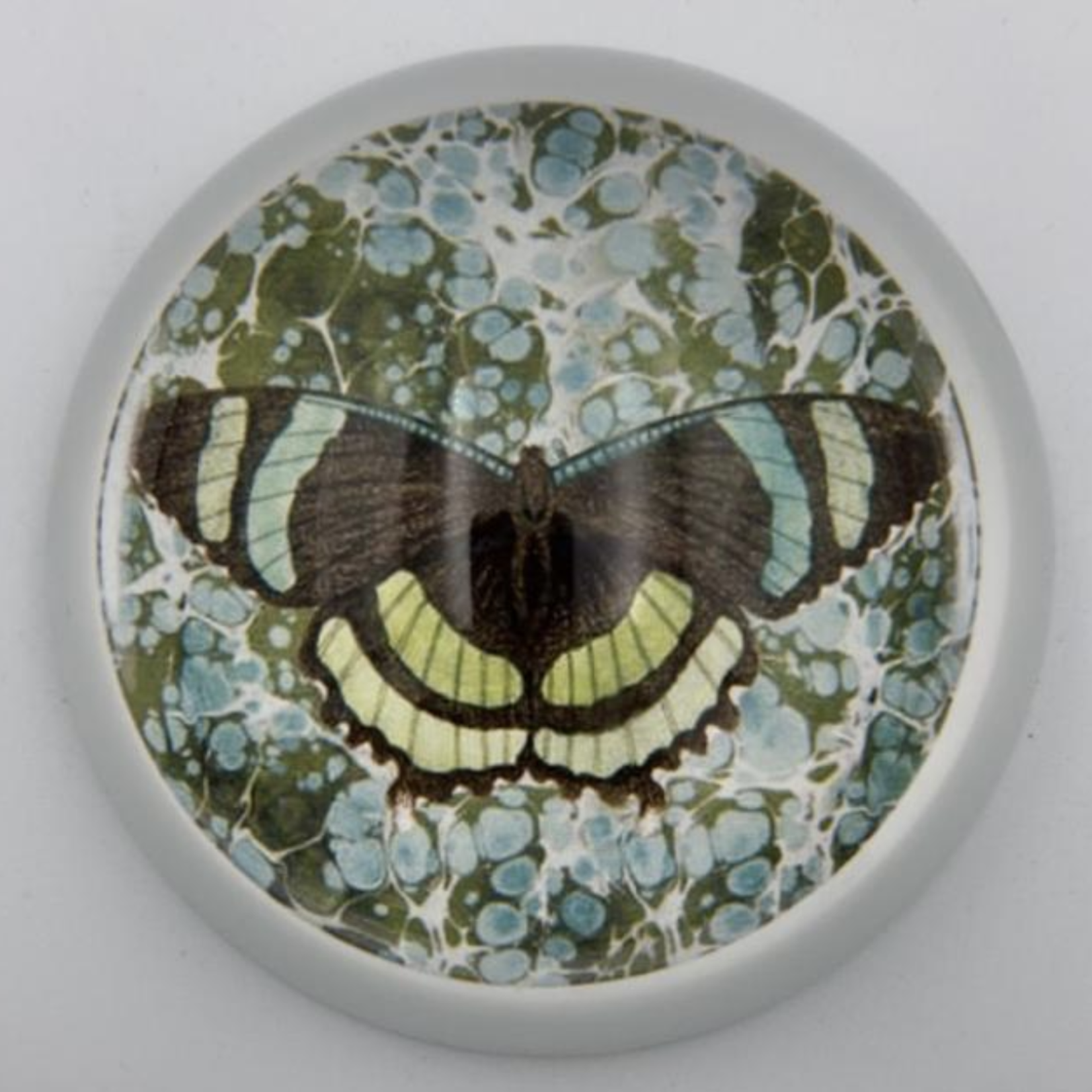Saint Austin Company Decorative Paperweights in Animal