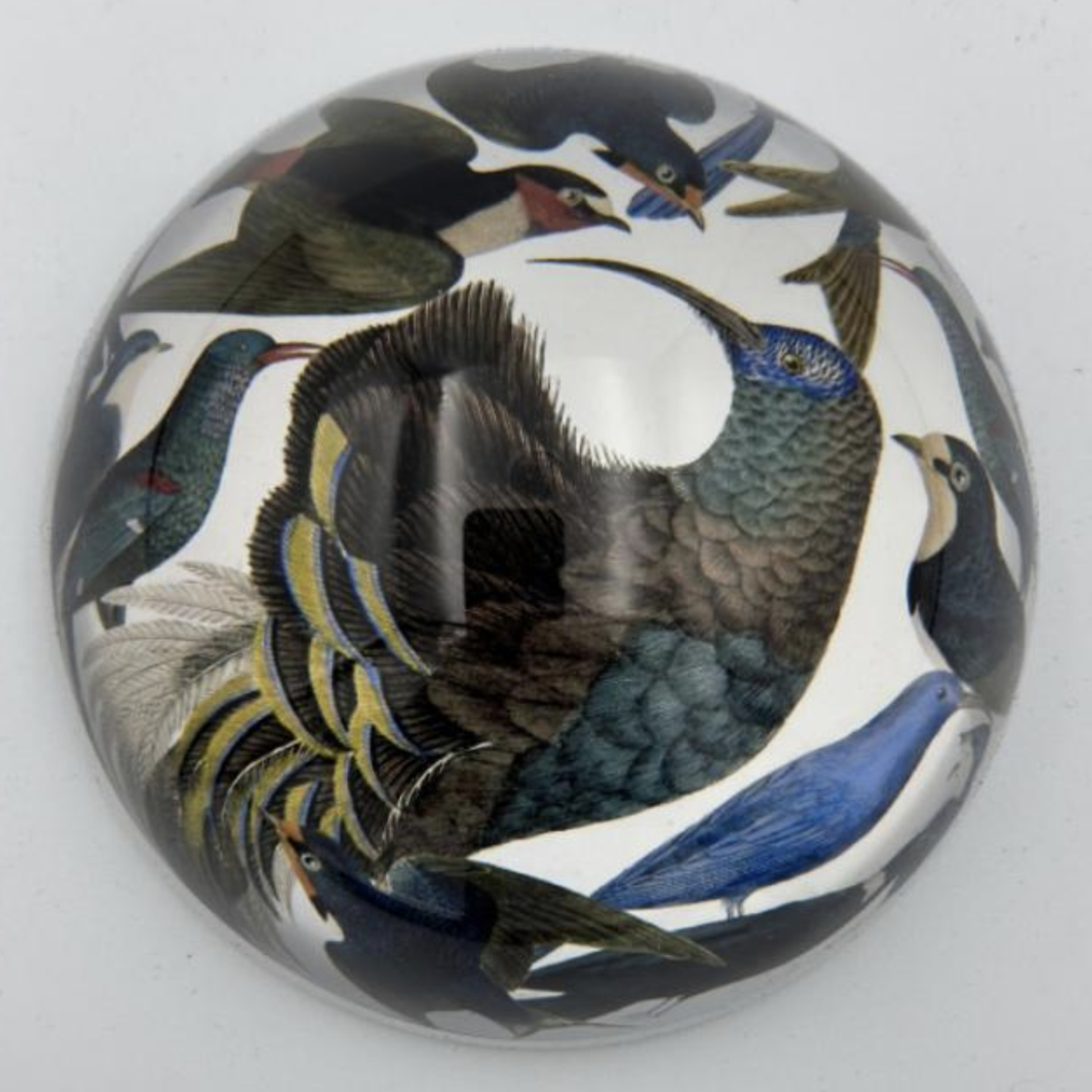 Saint Austin Company Decorative Paperweights in Animal