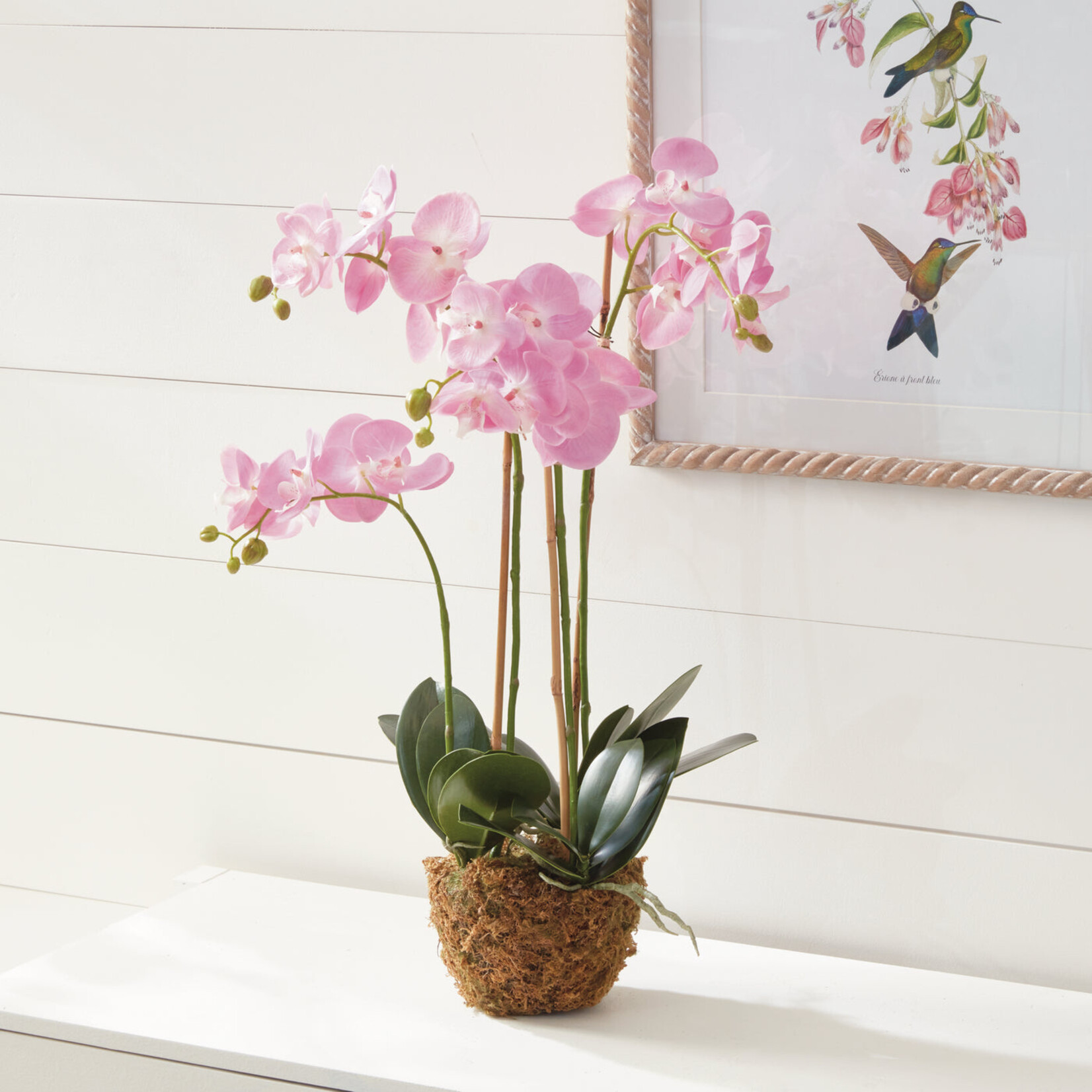 Napa Home and Garden Phalaenopsis Pink Orchid Drop-In - 30"