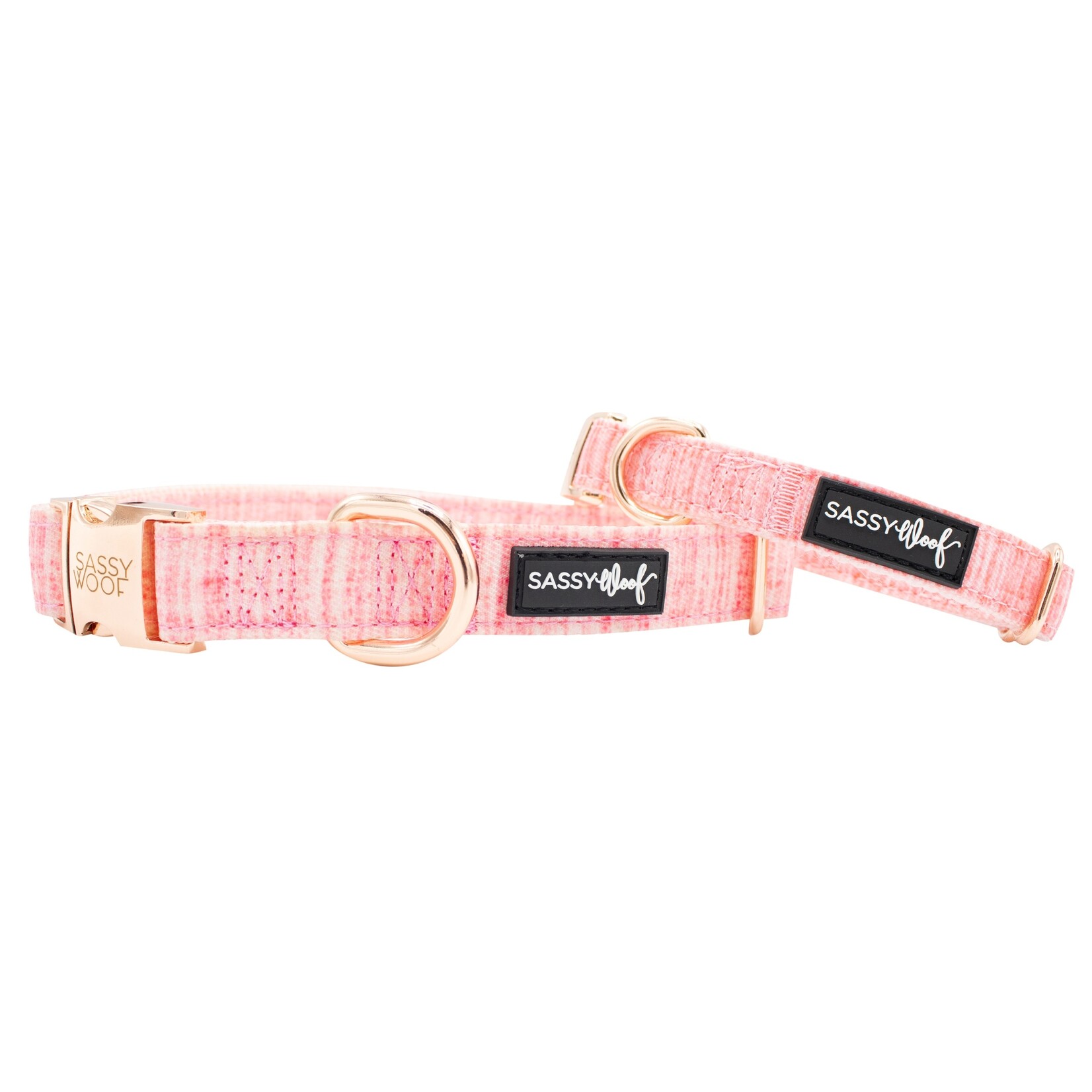 Sassy Woof Dog Collars in Strie