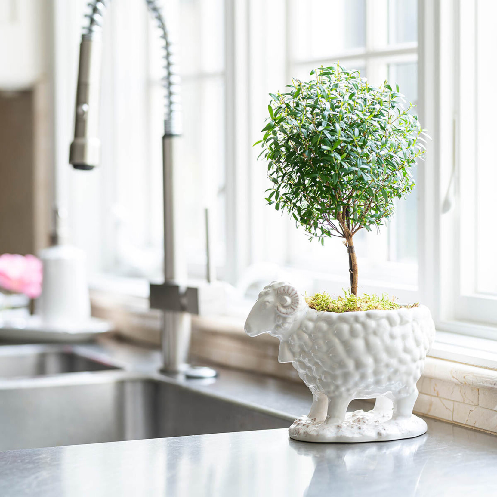 Juliska Clever Creatures Serveware