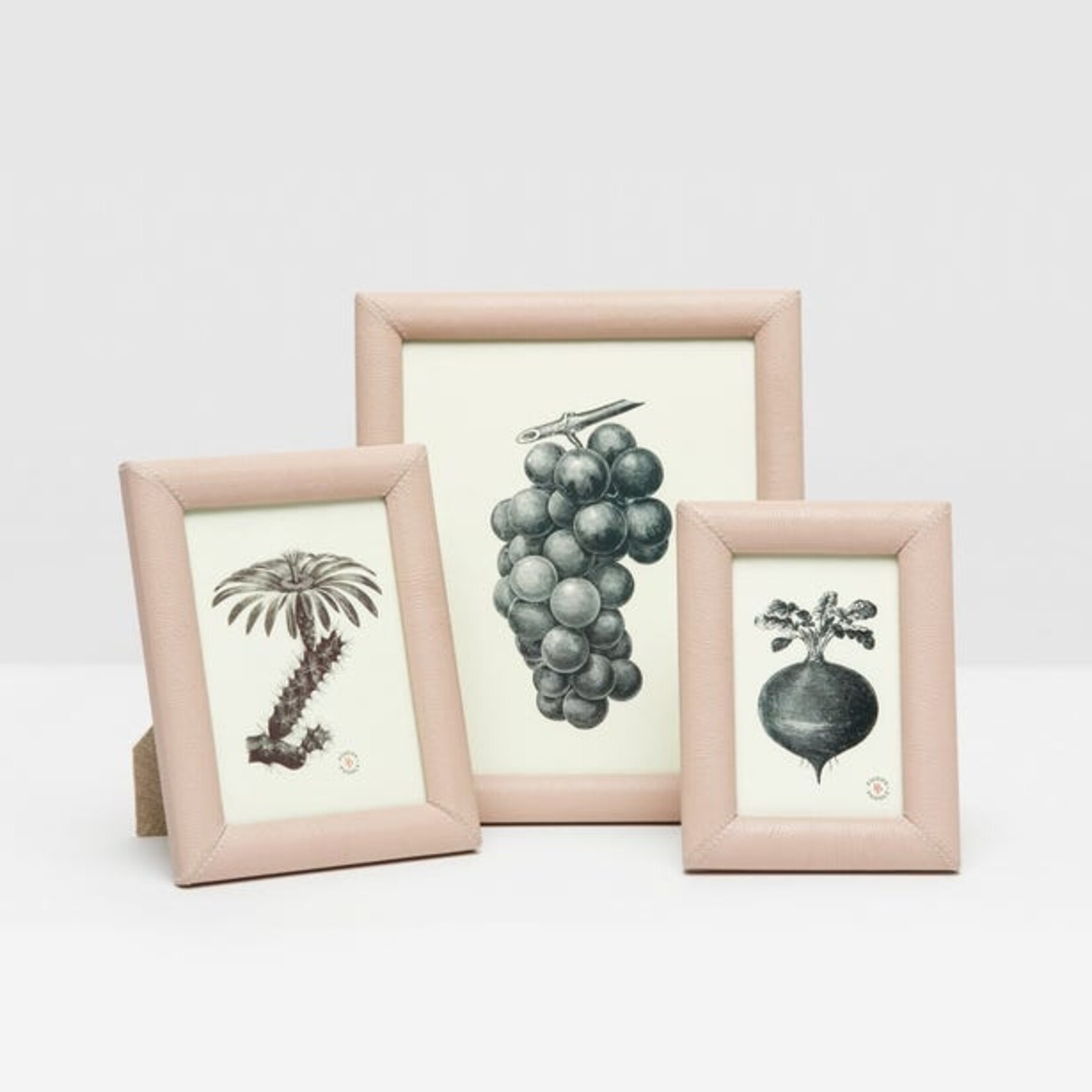 Pigeon and Poodle Eton Leather Frames