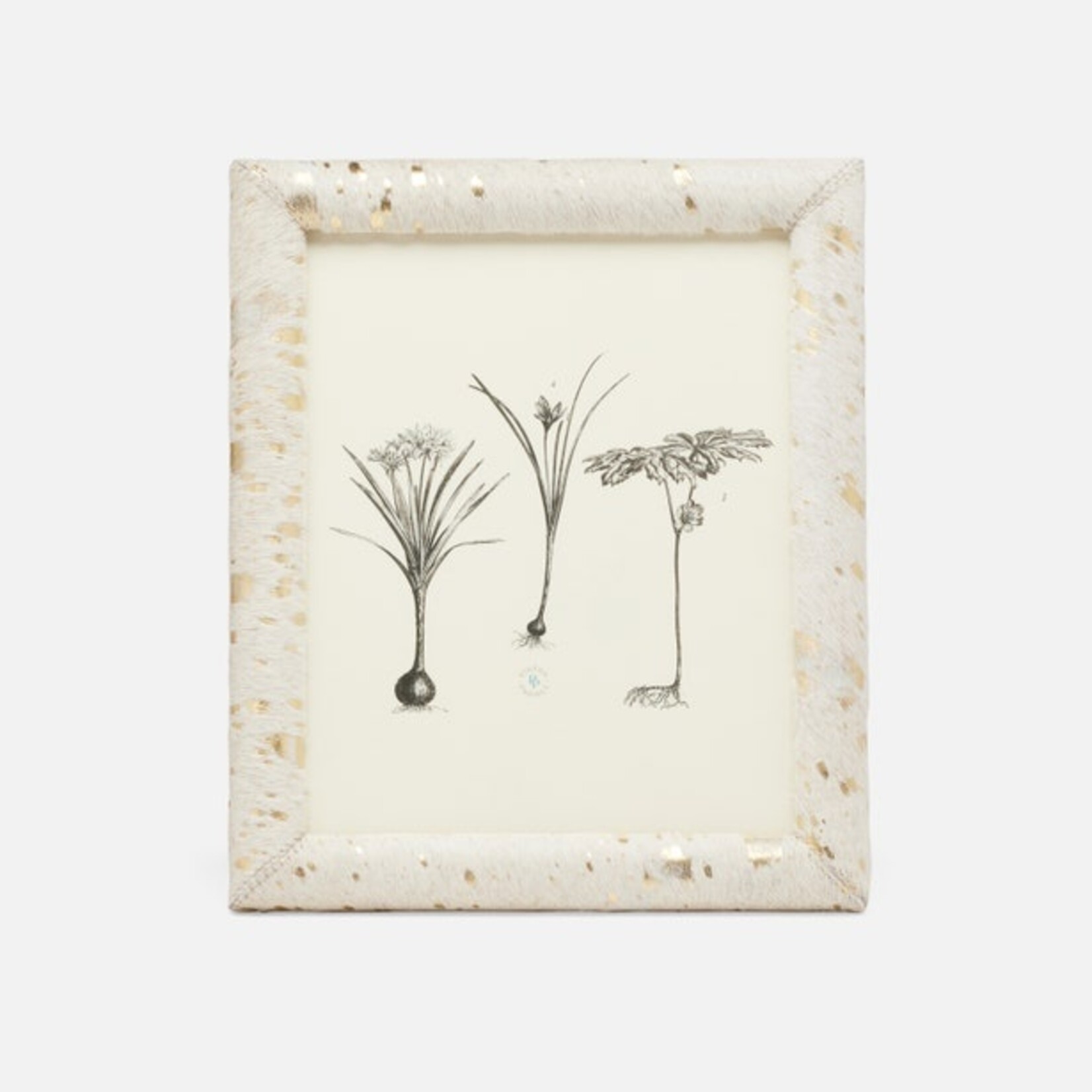 Pigeon and Poodle Jena Hair-on-Hide Frames