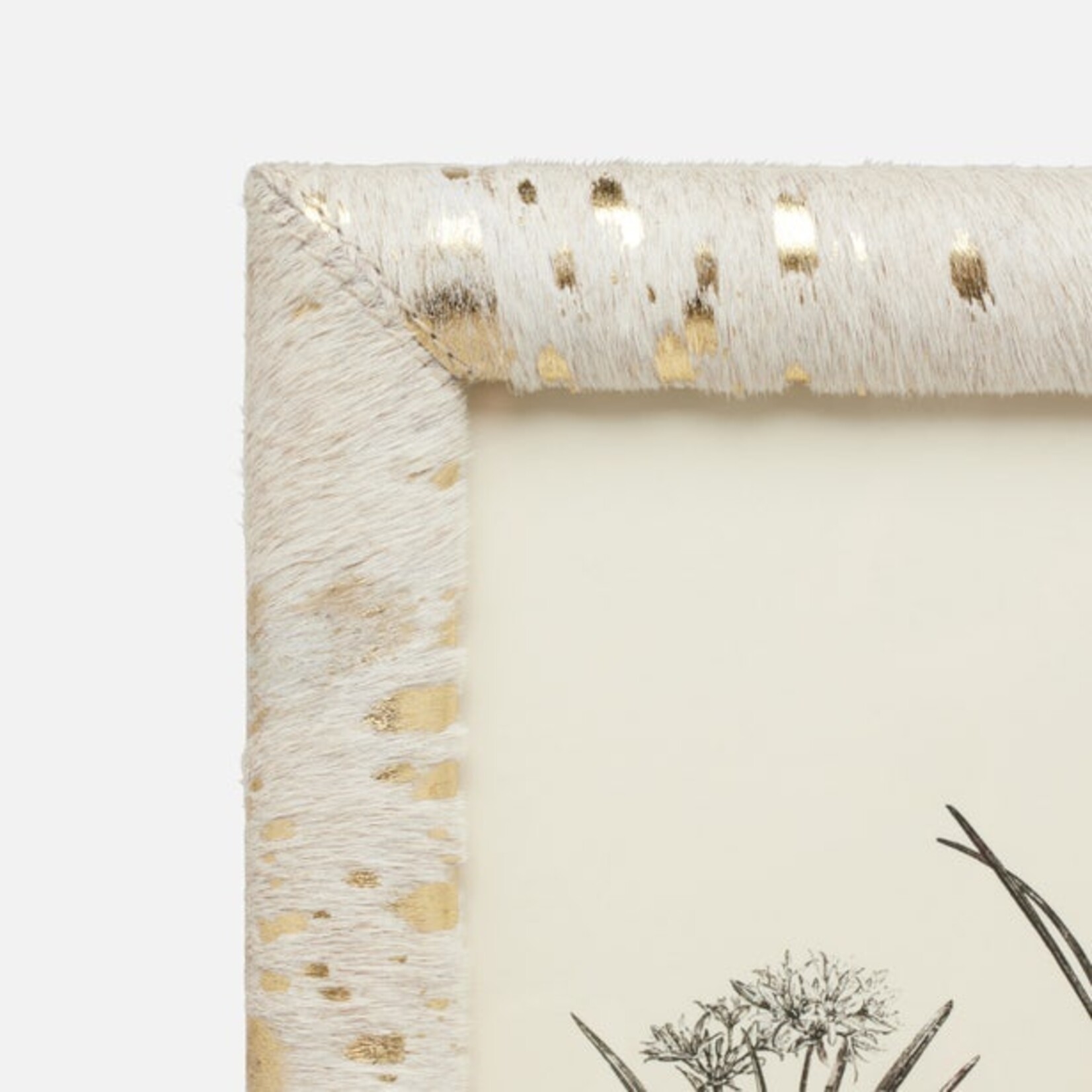 Pigeon and Poodle Jena Hair-on-Hide Frames