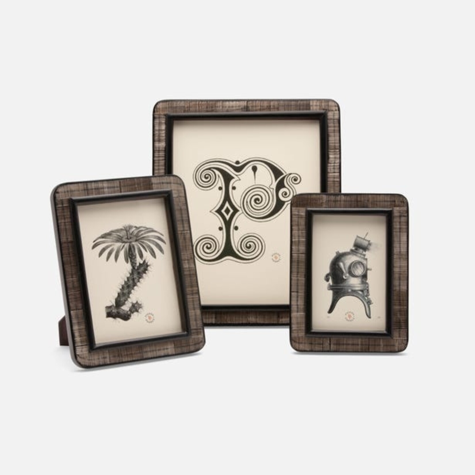 Pigeon and Poodle Rauma Chiseled Horn Frames