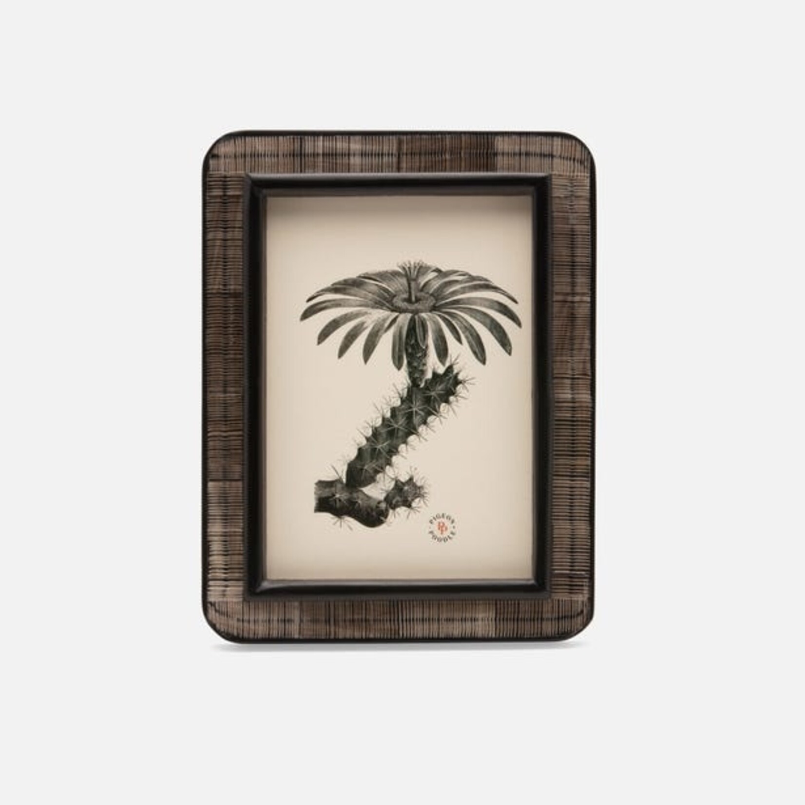 Pigeon and Poodle Rauma Chiseled Horn Frames