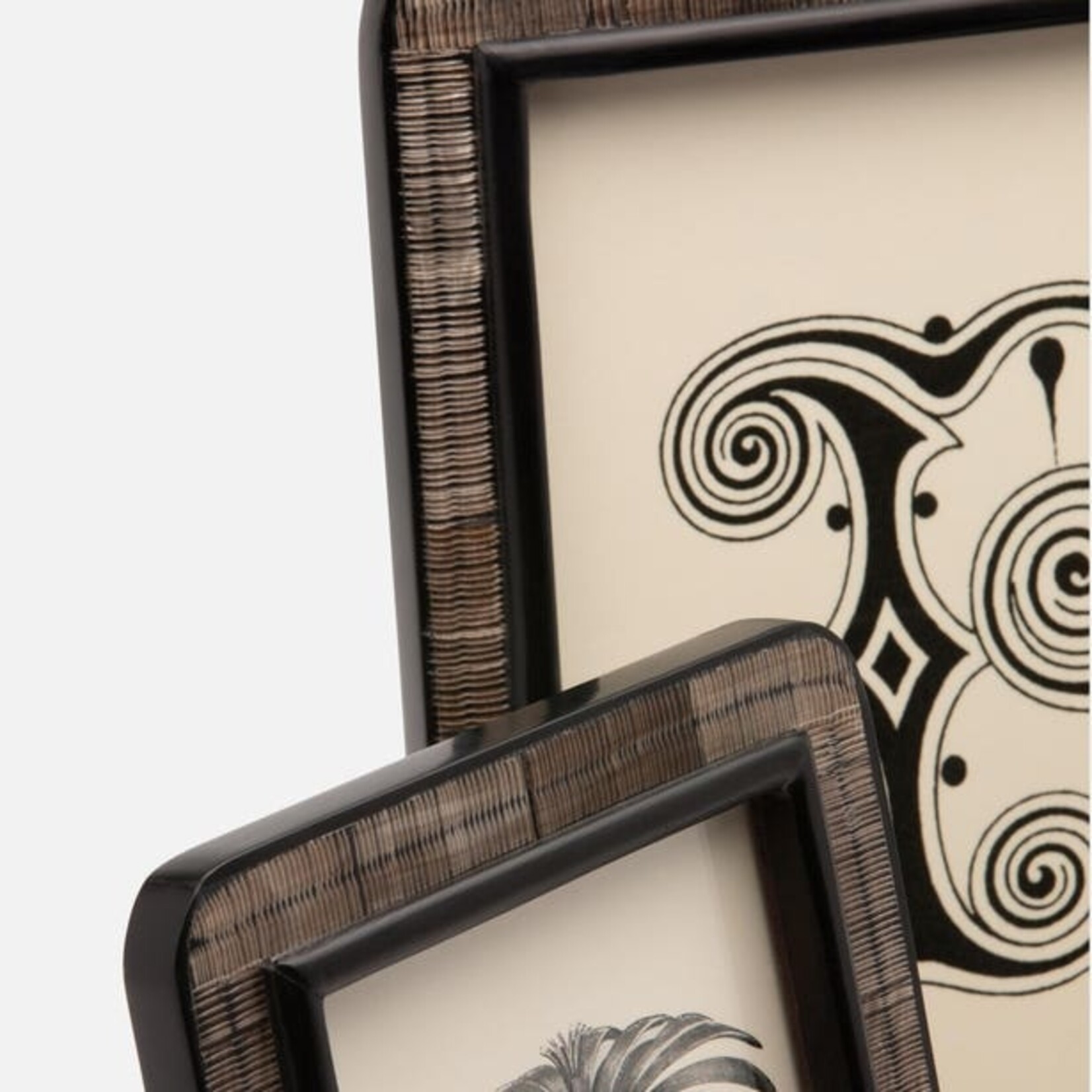 Pigeon and Poodle Rauma Chiseled Horn Frames