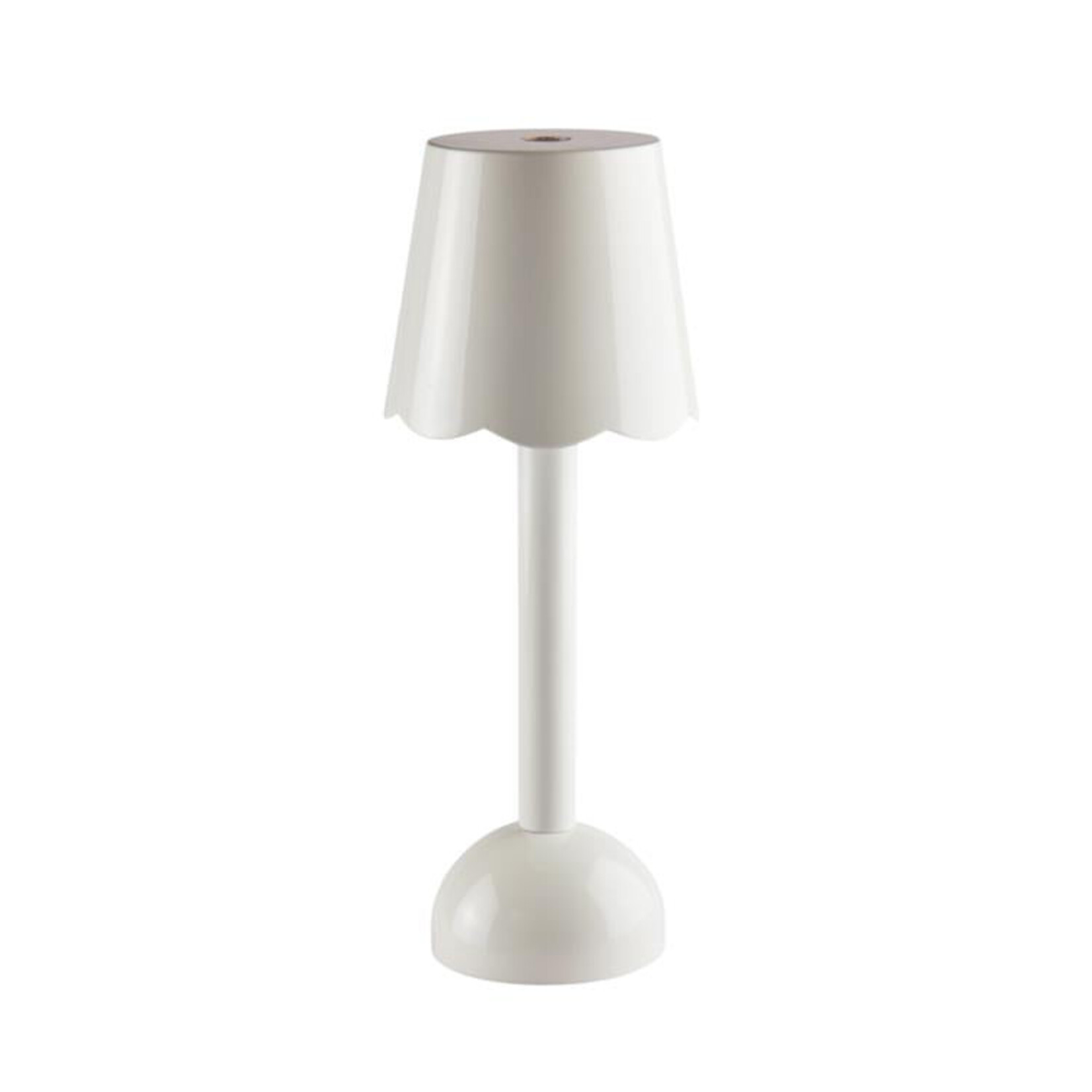 Addison Ross Scallop LED Lamps