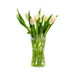 Juliska Ella Corset Vase - 9"