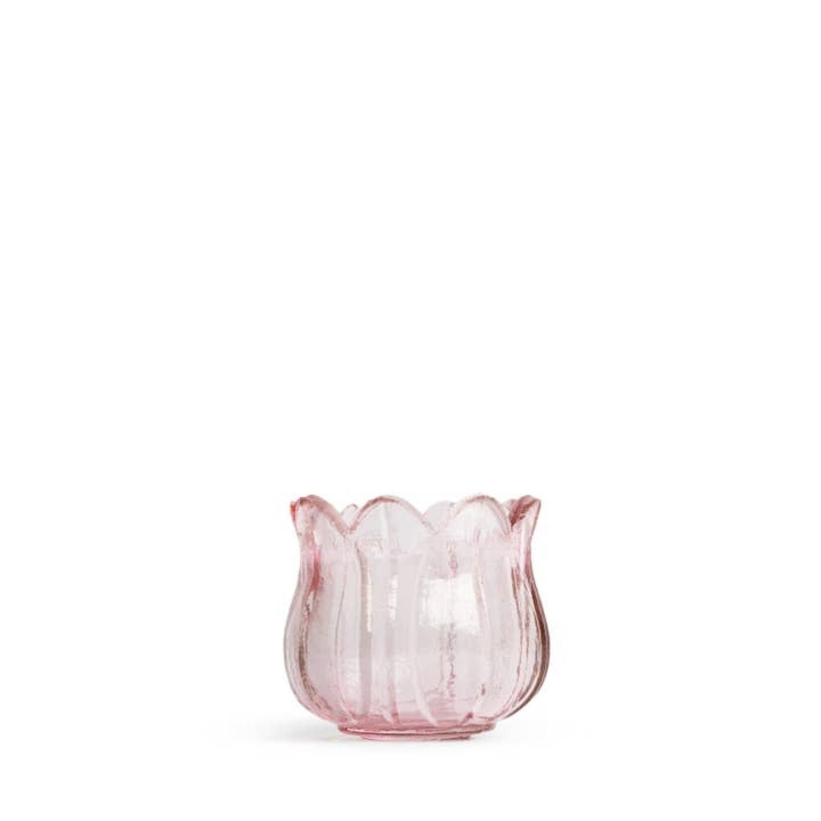 The Royal Standard Tulip Votives