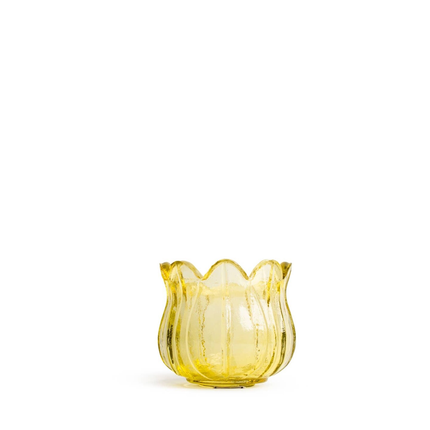 The Royal Standard Tulip Votives