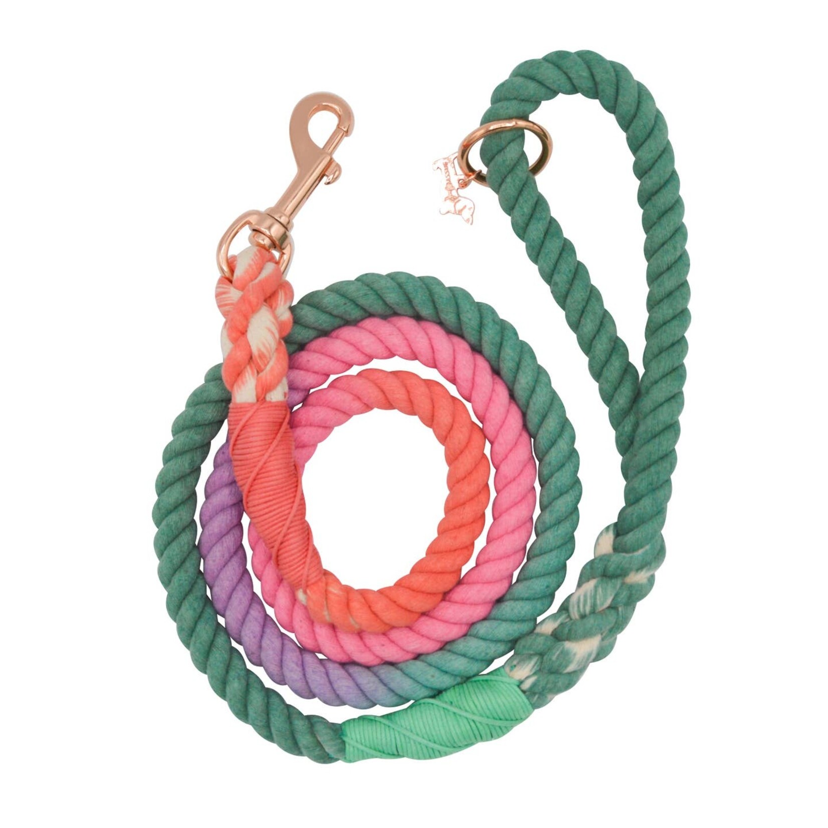 Sassy Woof Ombre Rope Leashes