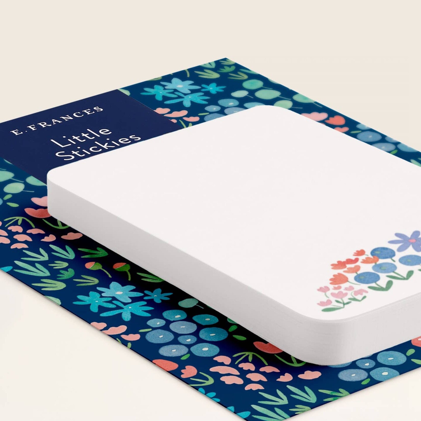 E Frances Paper Little Sticky Notes