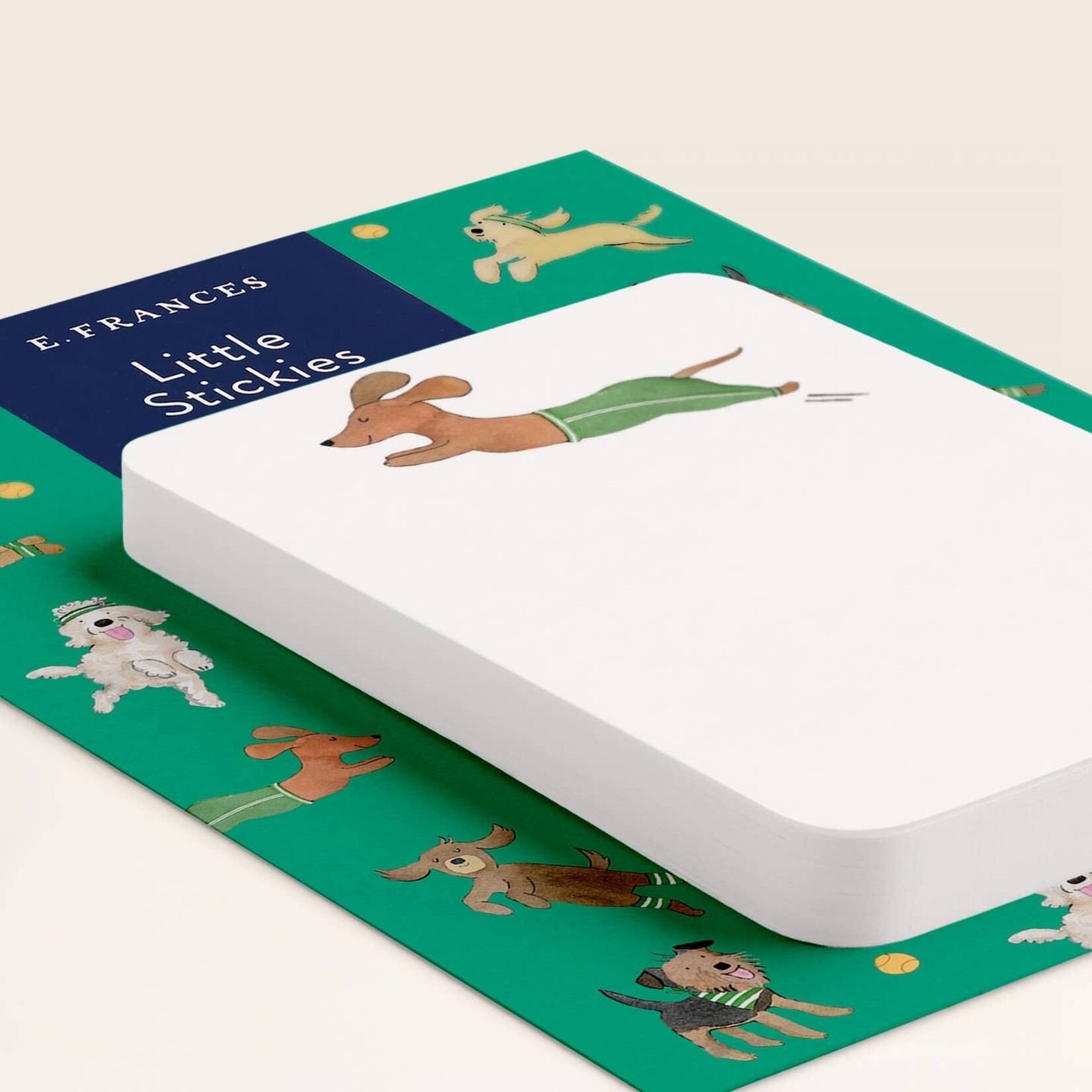 E Frances Paper Little Sticky Notes