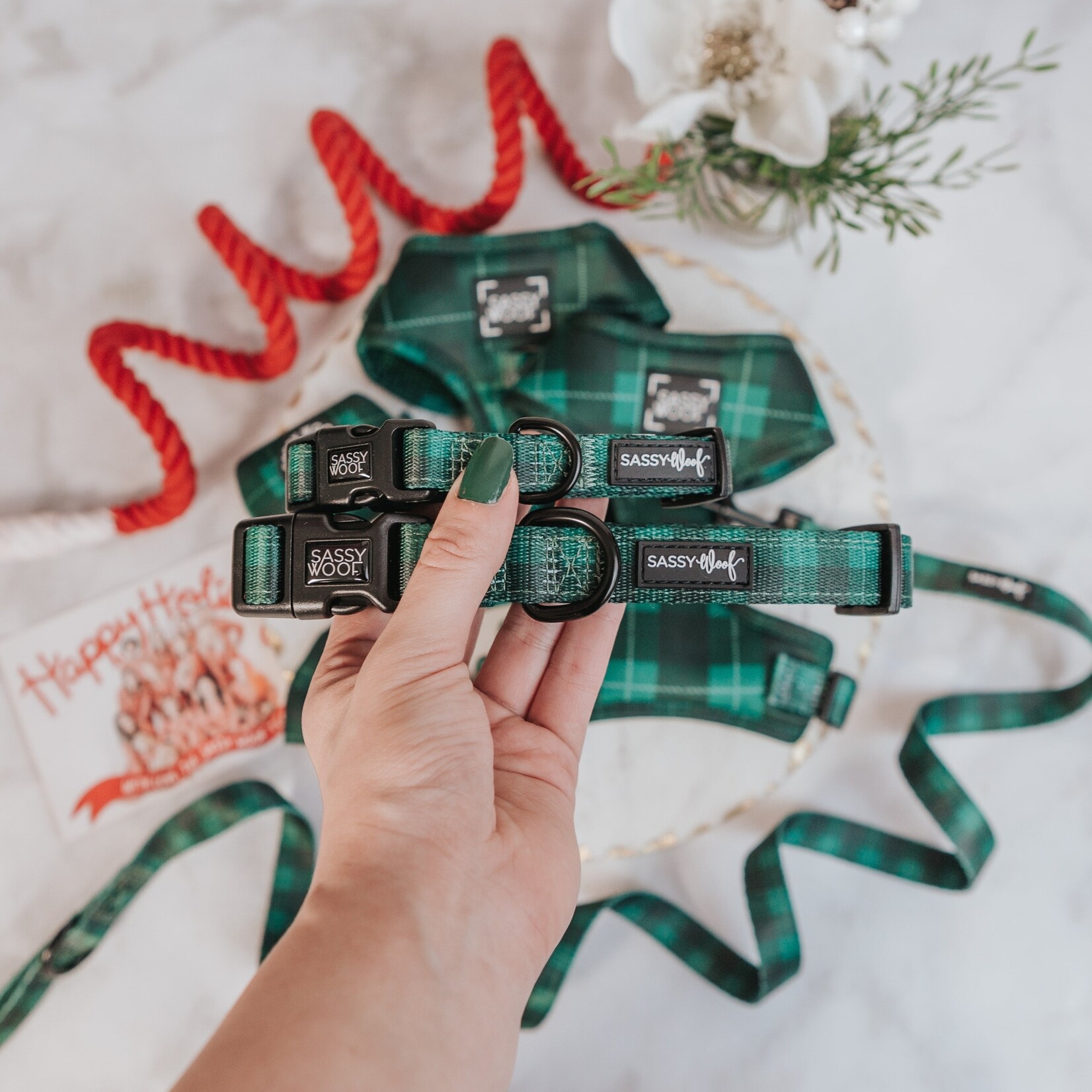 Sassy Woof Dog Collars & Leash in Barks of Holly