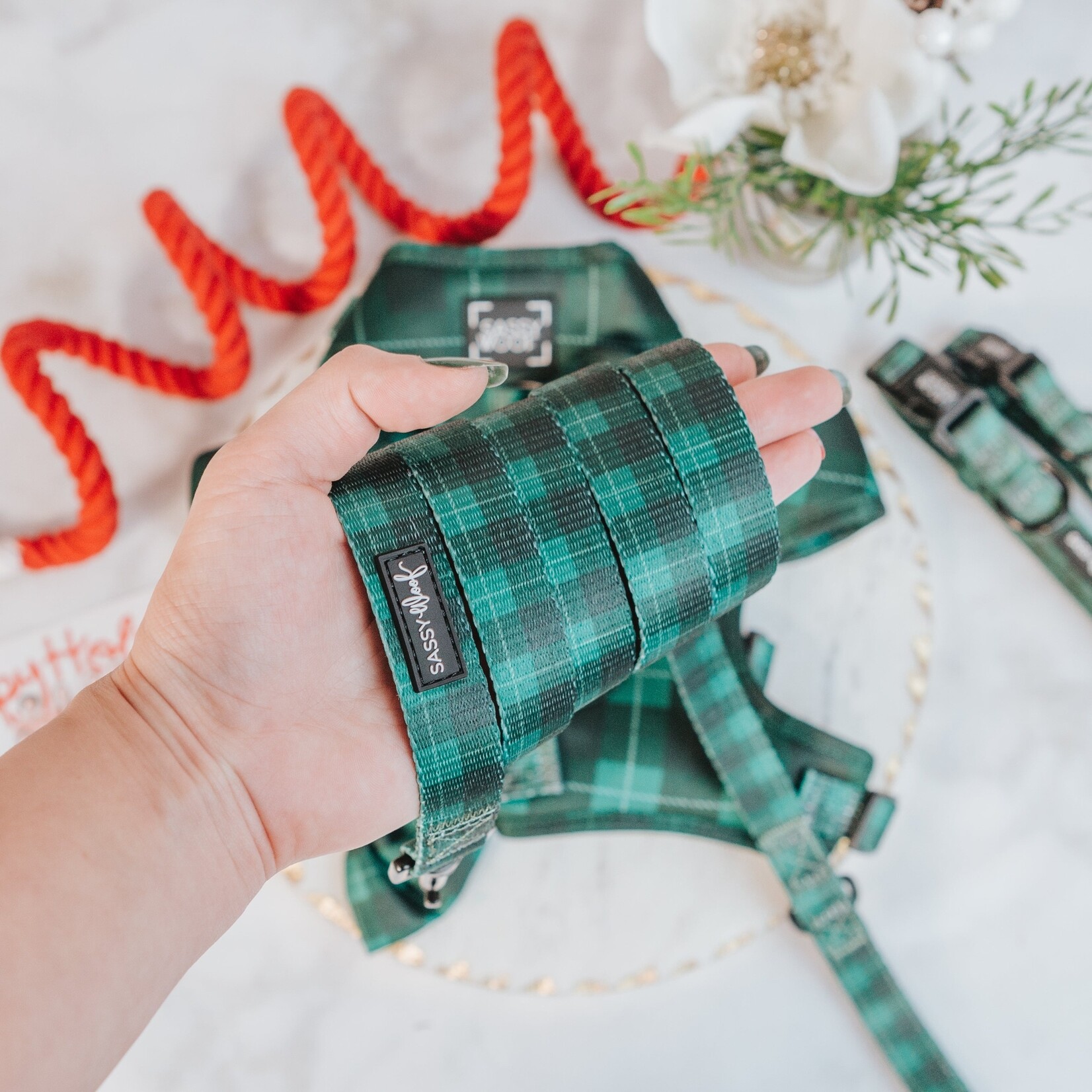 Sassy Woof Dog Collars & Leash in Barks of Holly