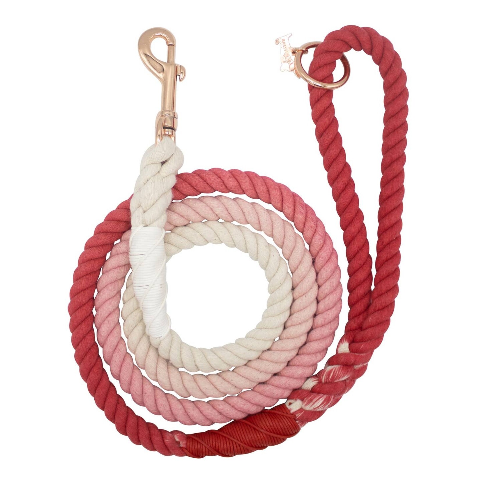 Sassy Woof Ombre Rope Leashes