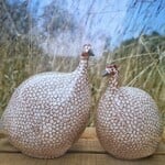 Les Céramiques de Lussan Guinea Fowl White Spotted Bordeaux