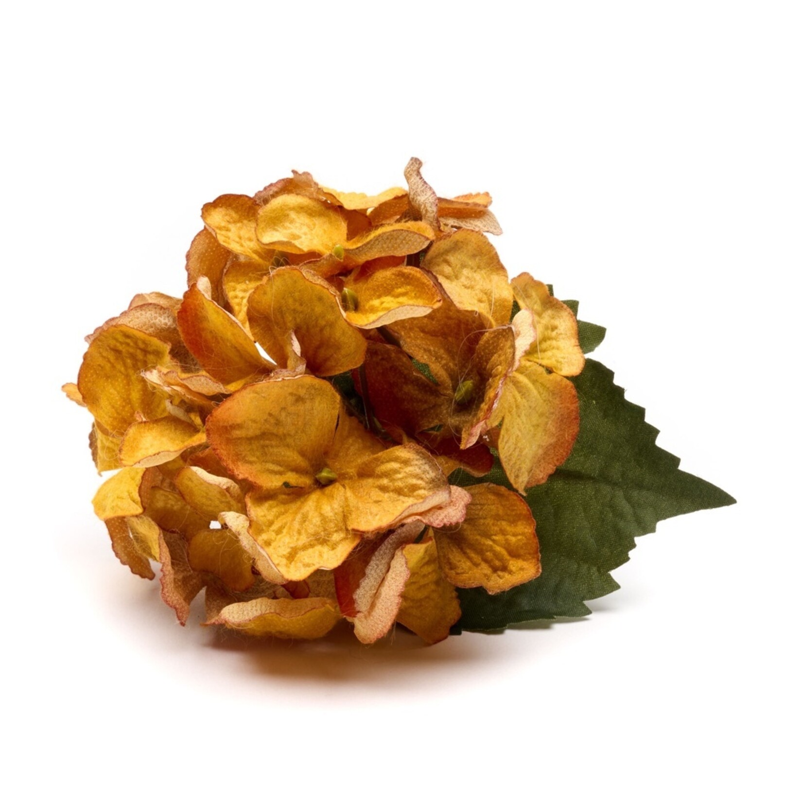 Deborah Rhodes Autumn Napkin Rings (Set of 4)