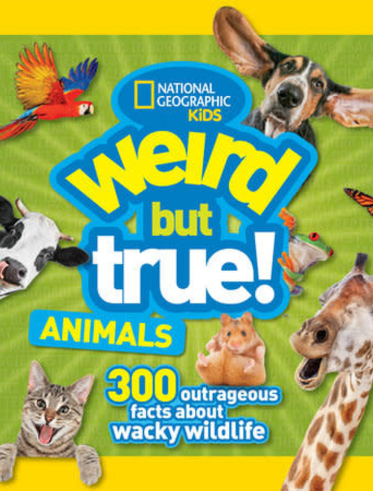 NGK Weird But True Animals