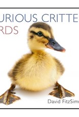Wild Iris Publishing Curious Critters Birds book