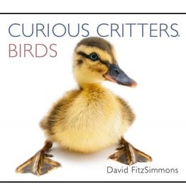 Wild Iris Publishing Curious Critters Birds book