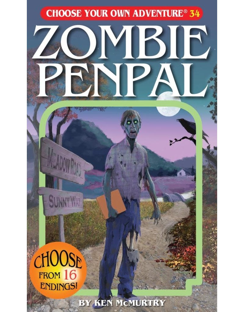 Choose Your Own Adventure CYOA Zombie Penpal