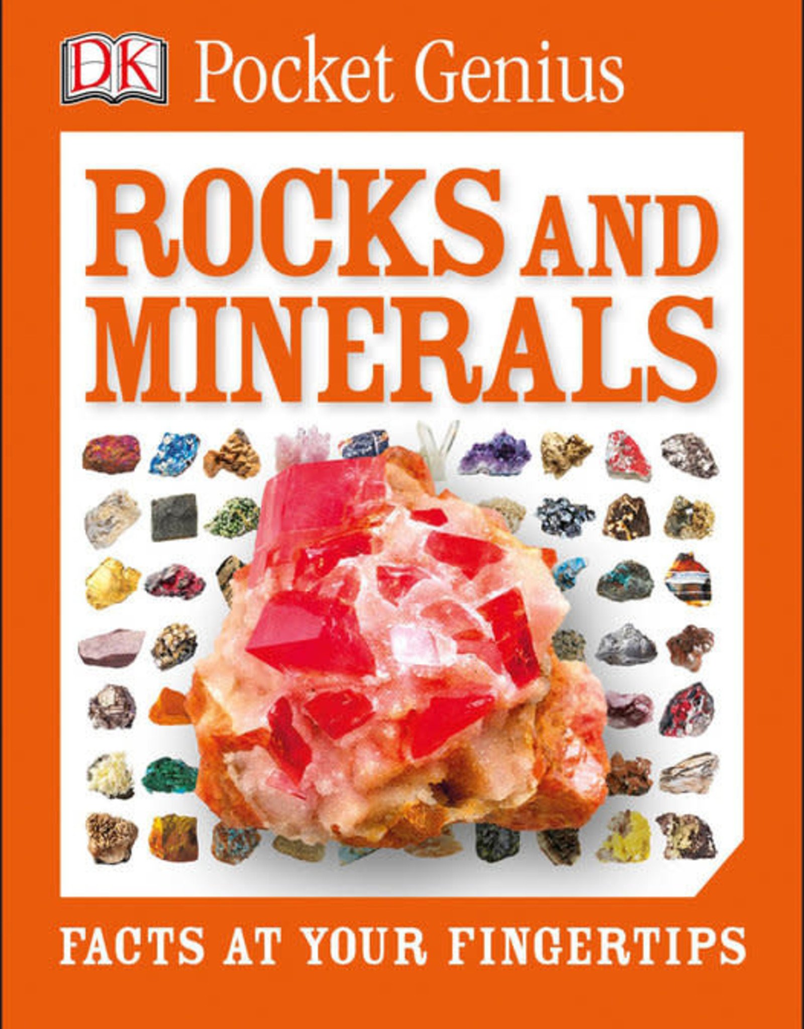 DK Pocket Genius Rocks & Minerals