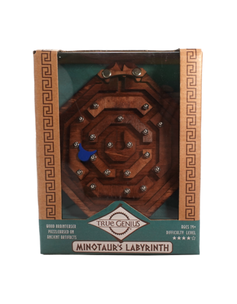 True Genius Brainteaser Minotaur's Labyrinth
