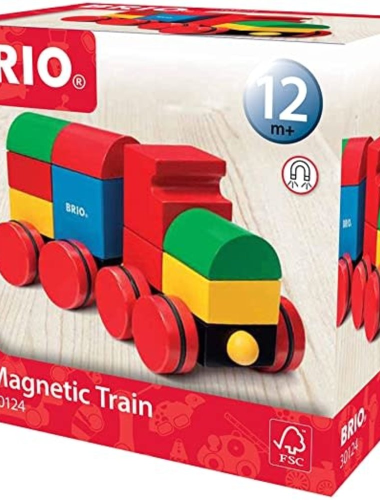 Brio Brio Magnetic Train 12m+