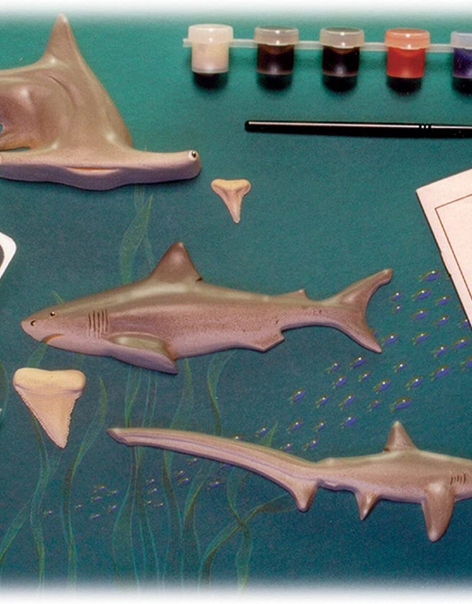Smithsonian Eyewitness Science Kit-Shark