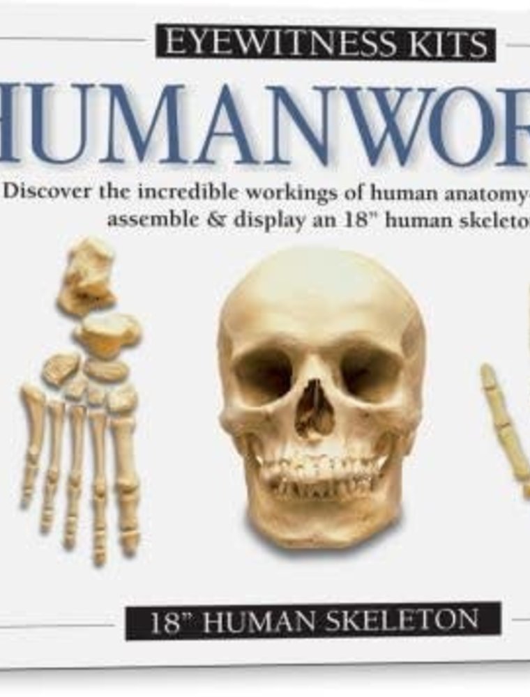Smithsonian Eyewitness Science Kit-Skeleton