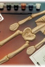 Smithsonian Eyewitness Science Kit-Skeleton