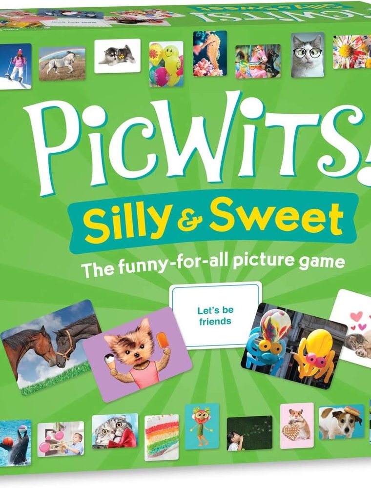 MindWare Picwits Silly & Sweet Game