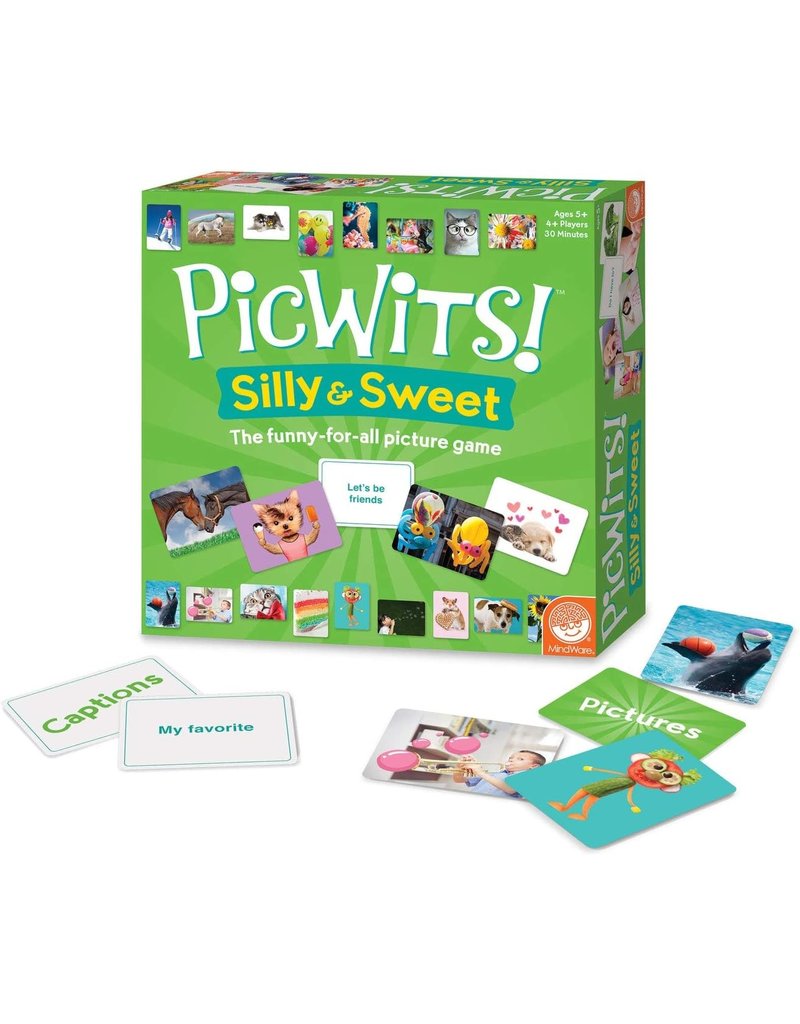 MindWare Picwits Silly & Sweet Game