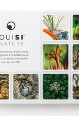 OuiSi Nature: Games of Visual Connection