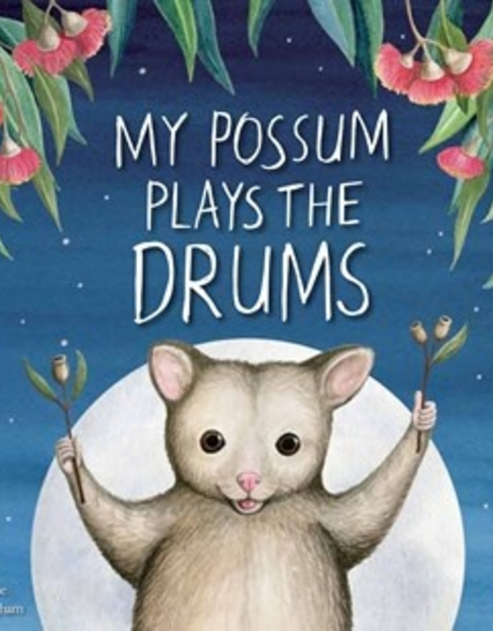 Book - My Possum Plays the Drums