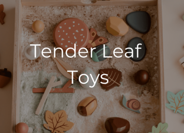 Tender Leaf Toys