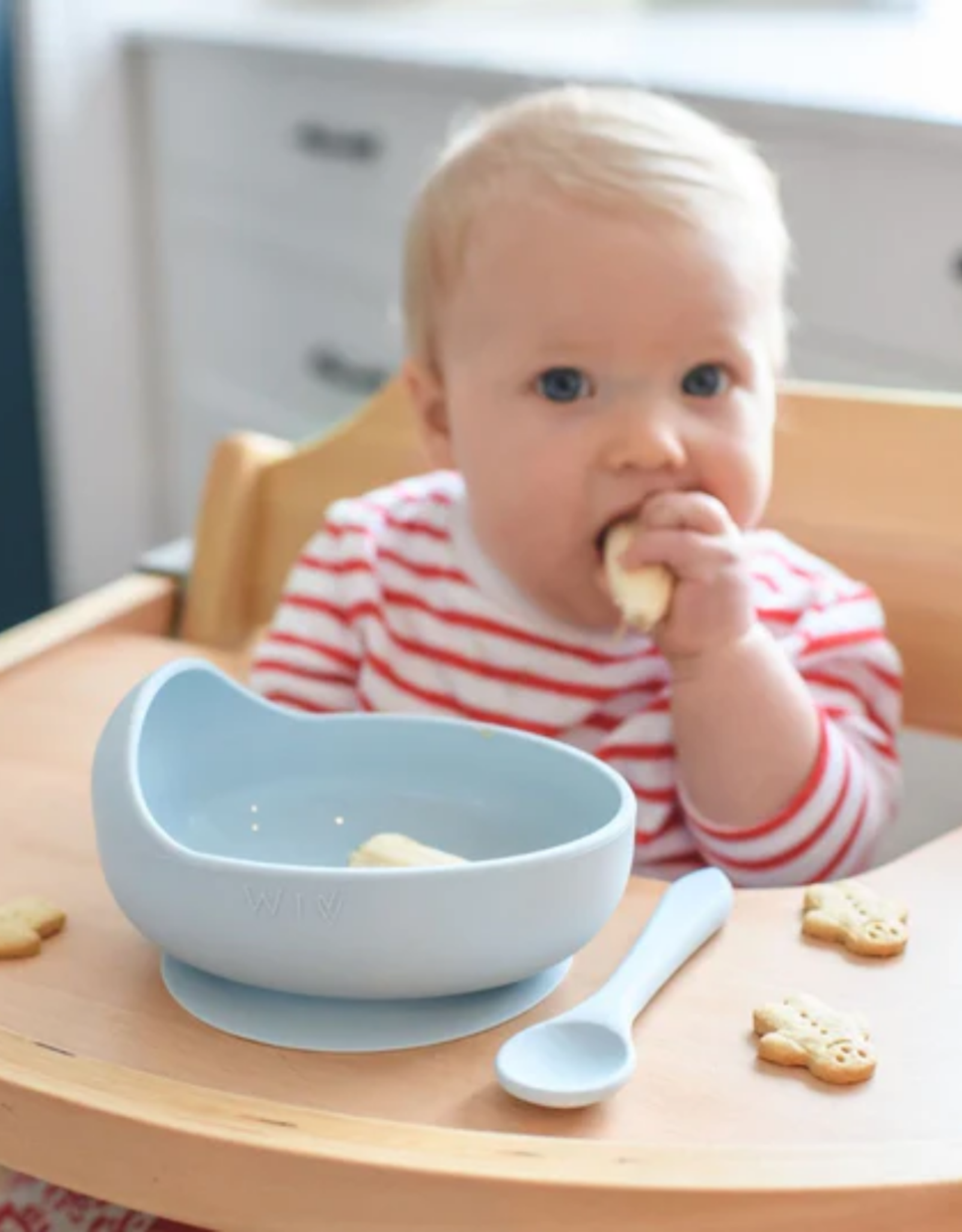 Wild Indiana Wild Indiana - Silicone Baby Bowl & Spoon Set Sage