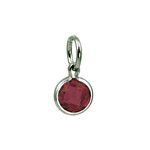 Mommy Chic Round Coin Birthstones