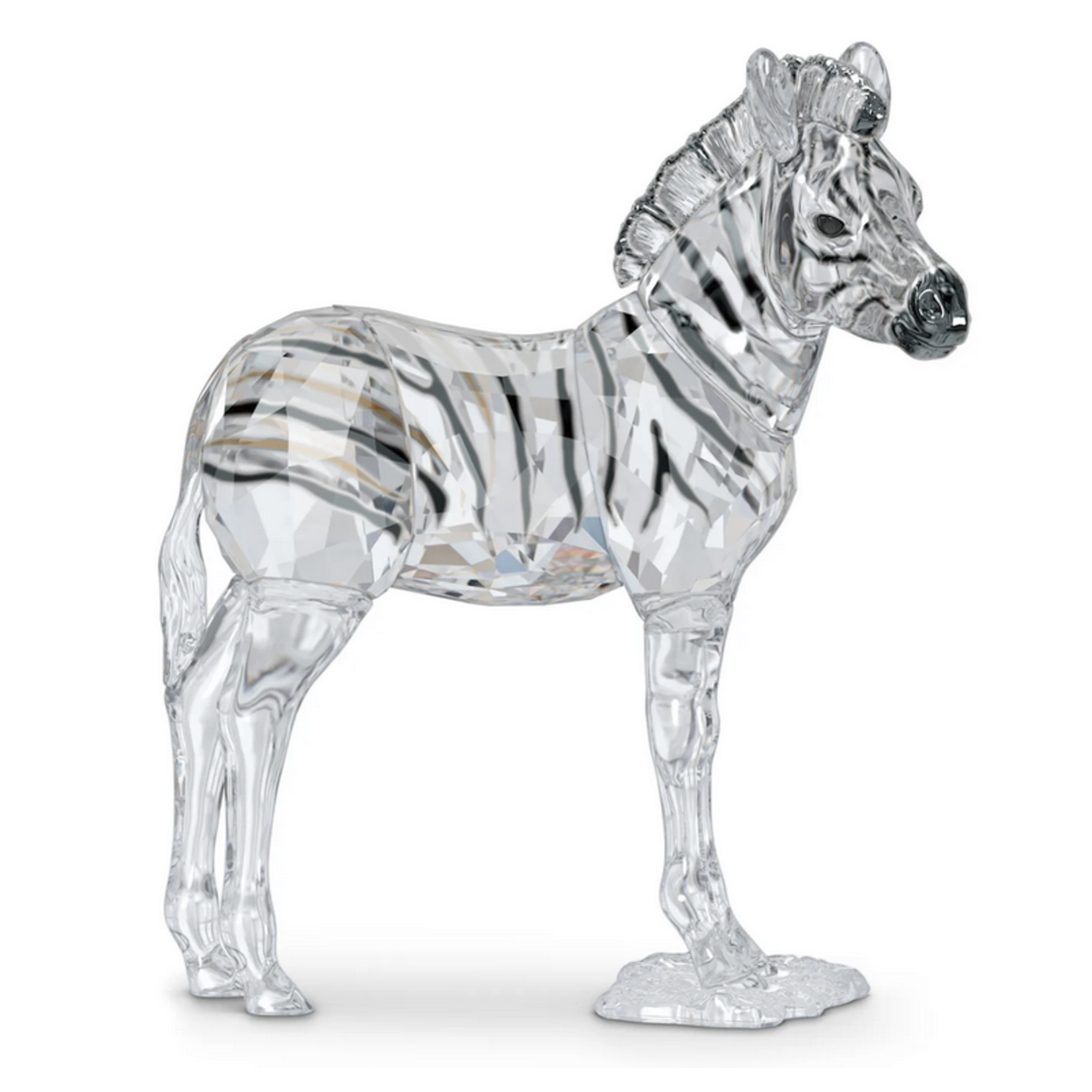 Swarovski Elegance of Africa SCS Zebra Baby Zuri