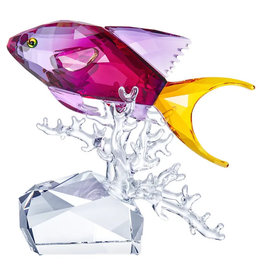 Swarovski Anthais Fish