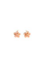 Alamea 14 Karat Rose Gold Plumeria Earrings