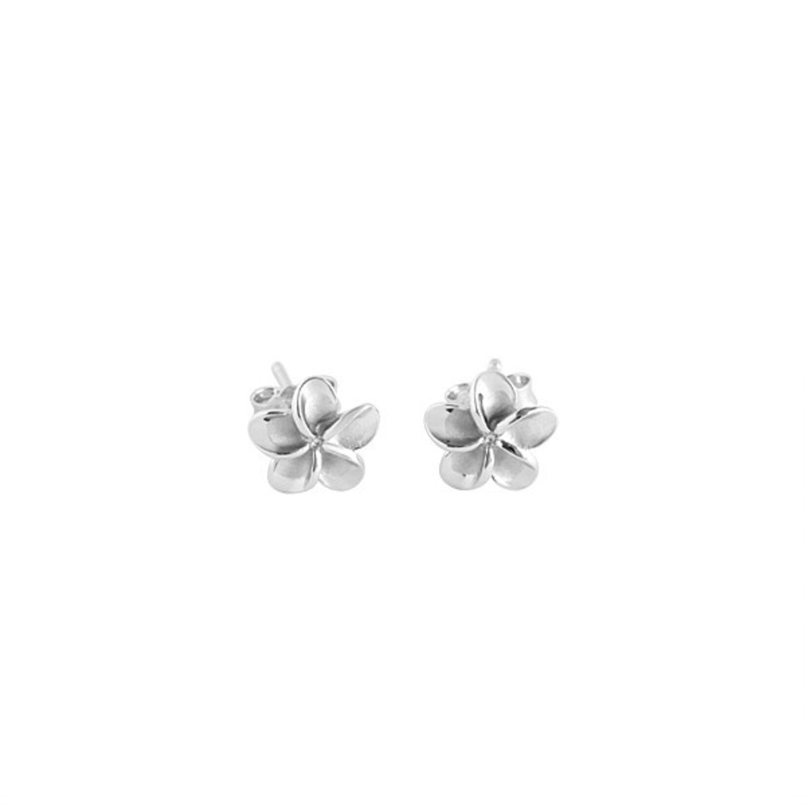 Alamea 14 Karat White Gold Plumeria Earrings