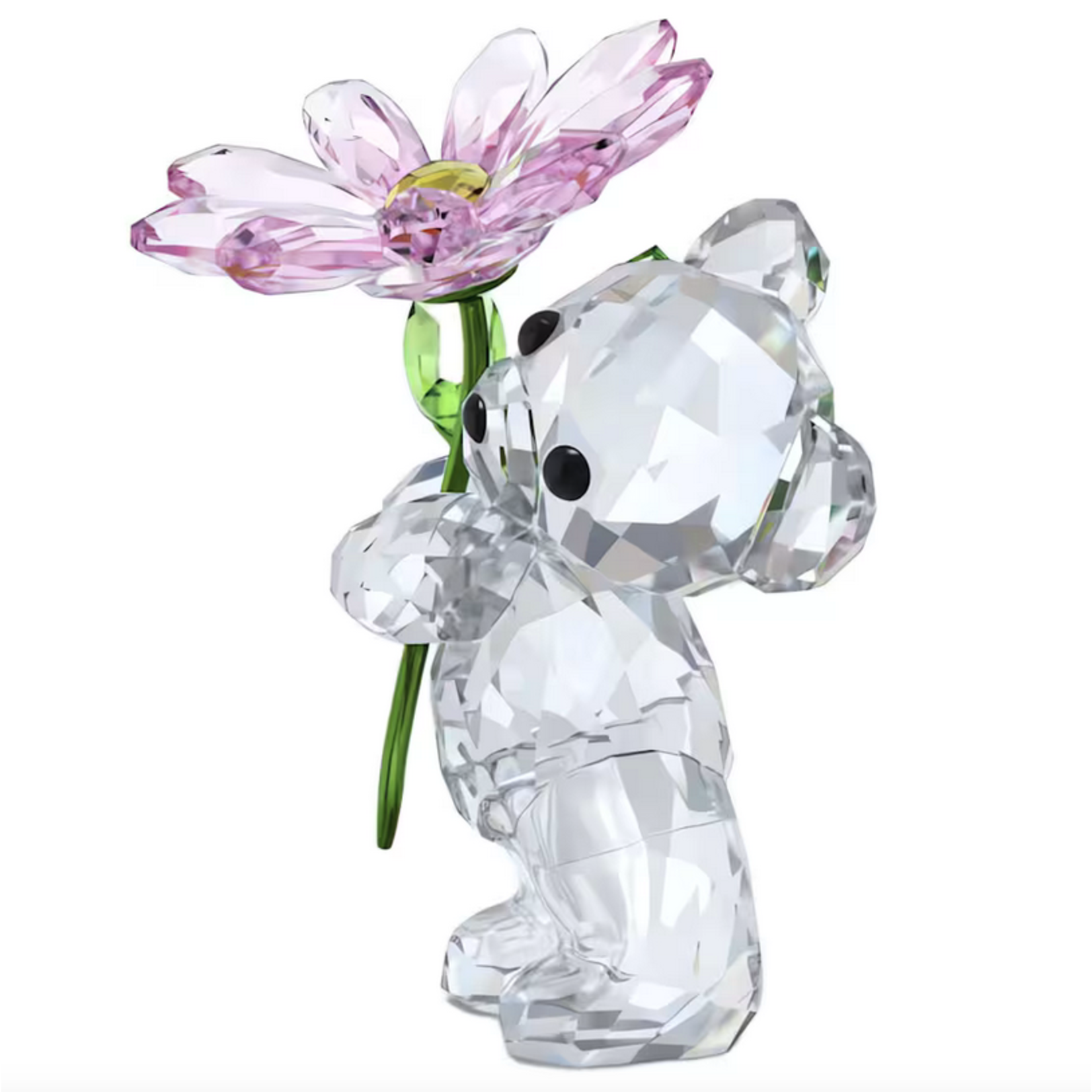 Swarovski KRIS BEAR:A DAISY FOR YOU