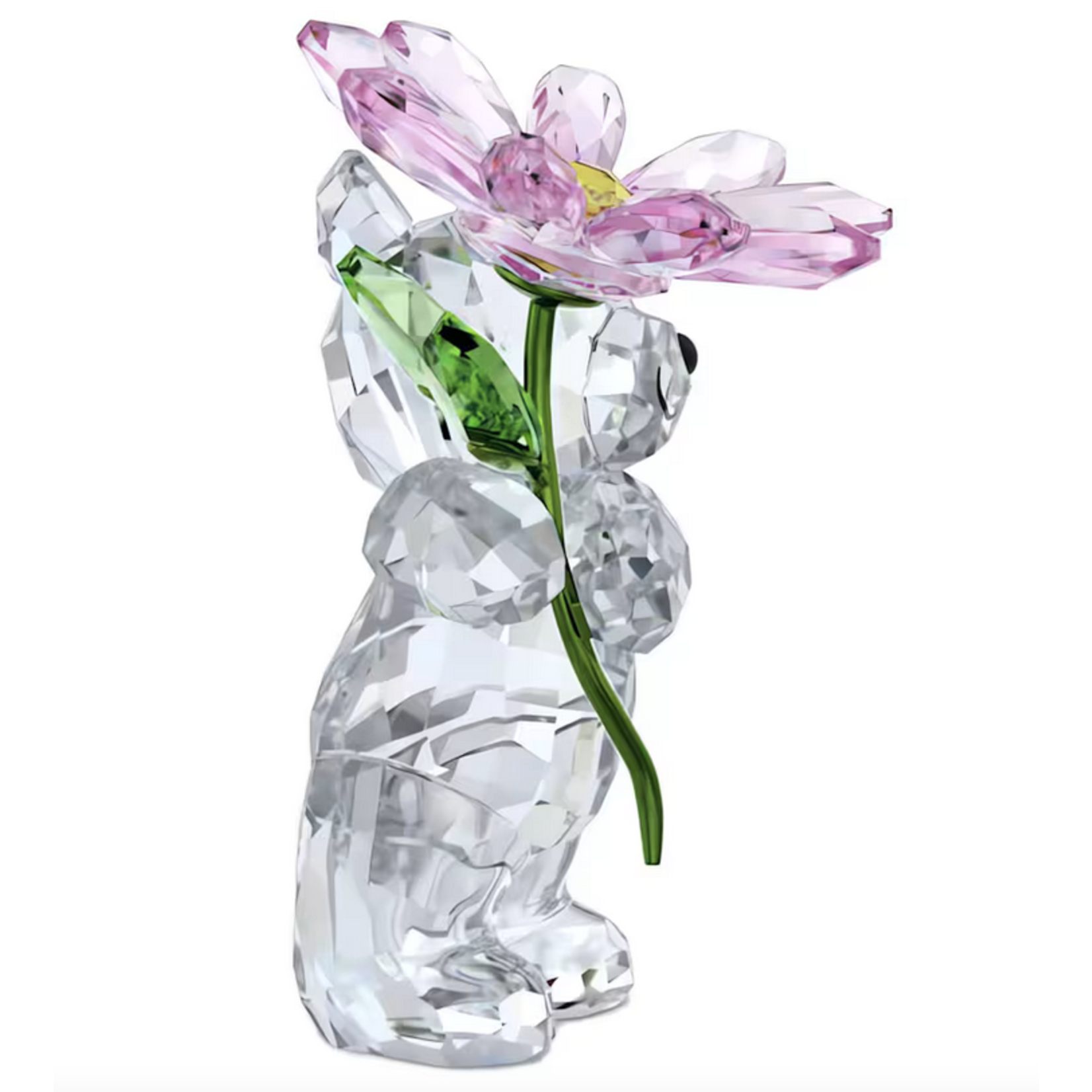 Swarovski Swarovski Kris Bear A Daisy For You Genuine Crystal Figurine #5675327