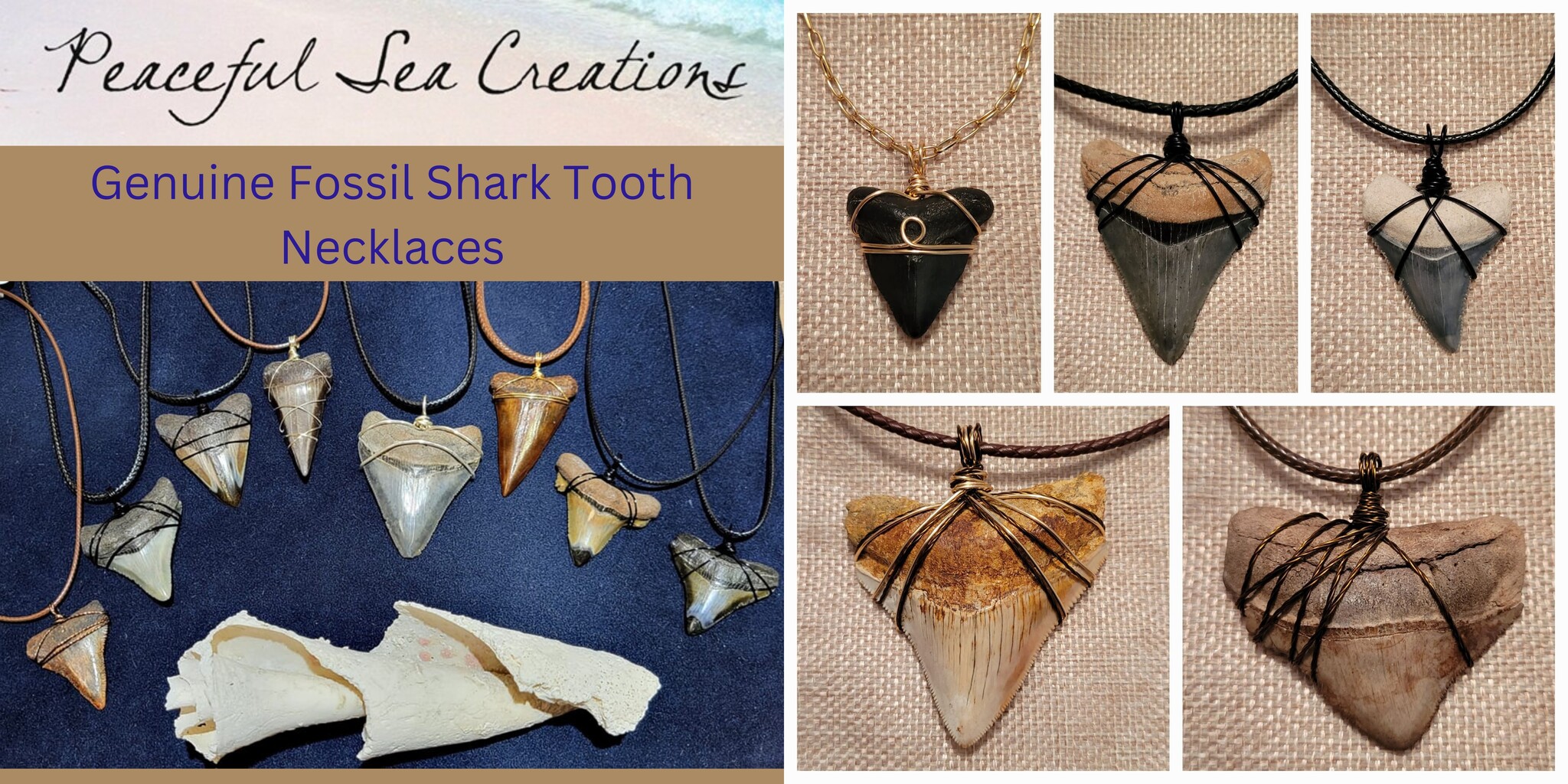 Genuine Fossil Shark Tooth Necklaces