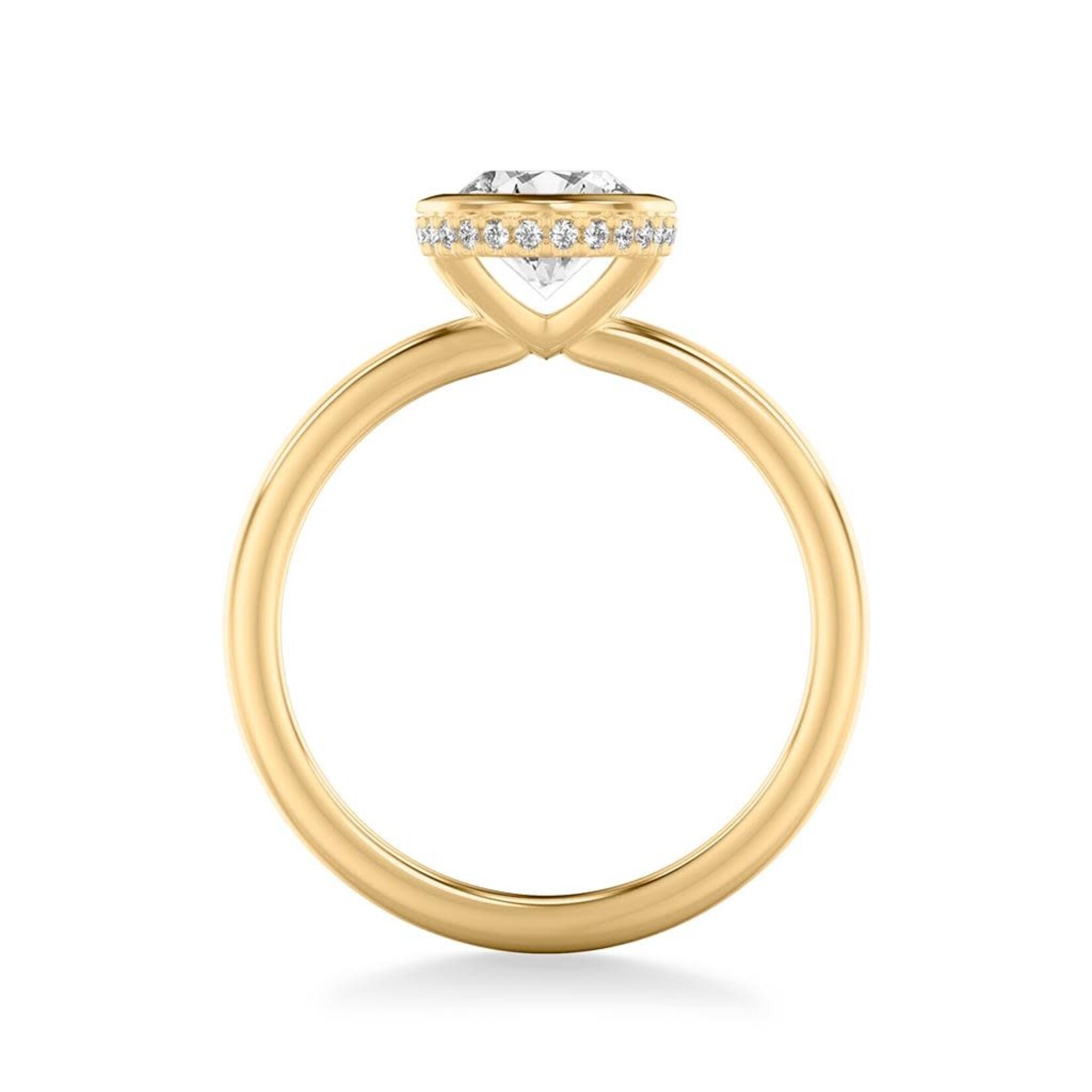 Engagement Ring with Hidden Halo