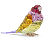 Swarovski Idyllia SCS Gouldian Finch, Large