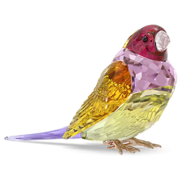 Swarovski Idyllia SCS Gouldian Finch, Large